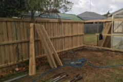 Fencing46