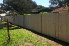 Garden Fencing12