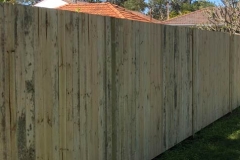Garden Fencing15