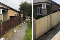 Garden Fencing9